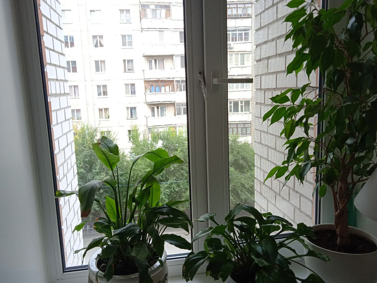 https://magnitogorsk.delaem-okna.ru/storage/app/uploads/public/63f/332/8c0/63f3328c0d6f7867060515.jpg